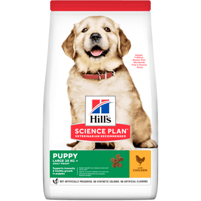 Hills Science Plan Puppy Large Breed with Chicken | 14,5 kg - PetDoctors - Loja Online