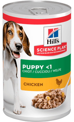 Hills Science Plan Puppy with Chicken | Wet (Lata) | 12 latinhas x 370 gr cada - PetDoctors - Loja Online