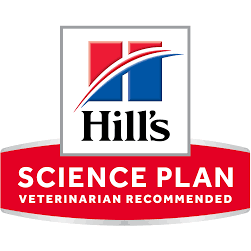 Hills Science Plan Senior 11+ Cat with Chicken | 1,5 kg - PetDoctors - Loja Online