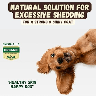 Kelebs Anticomichão | champô sólido para cães, para pele sensível e dermatite | anti-comichão com óleo de lavanda calmante, conjunto de 3 barras, sabão natural BIO e vegano - PetDoctors - Loja Online
