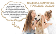 Limpador de ouvidos para cães e gatos (250 ml em gotas) - natural, com aloé vera e lavanda, sem álcool - PetDoctors - Loja Online