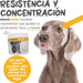 maxxicardio Suplemento cardiaco e cardiovascular para cães (em pó: 150 gramas) - PetDoctors - Loja Online