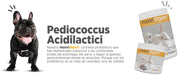 Maxxidigest+ Probiótico Poderoso - Diarreia, Antibacteriano, Alívio de alergias - PetDoctors - Loja Online