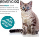 maxxidigest Probióticos, prebióticos e enzimas digestivas para gatos - Ajuda avançada à digestão felina e ao sistema imunitário, sem pó OGM - PetDoctors - Loja Online