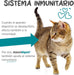maxxidigest Probióticos, prebióticos e enzimas digestivas para gatos - Ajuda avançada à digestão felina e ao sistema imunitário, sem pó OGM - PetDoctors - Loja Online