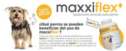 maxxiflex+ Suplemento avançado para as articulações do cão - glucosamina, condroitina, MSM, ácido hialurónico , garra do , bromelina, açafrão - PetDoctors - Loja Online