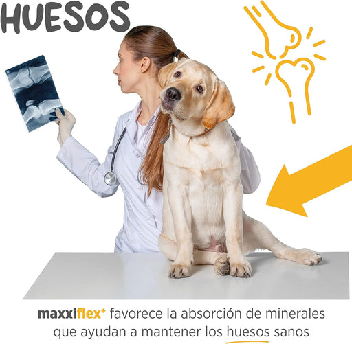maxxiflex+ Suplemento avançado para as articulações do cão - glucosamina, condroitina, MSM, ácido hialurónico , garra do , bromelina, açafrão - PetDoctors - Loja Online