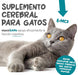 maxxisame Suplemento avançado para gatos – Ajuda ao fígado felino, articulações e saúde cognitiva – 90 g de pó - PetDoctors - Loja Online