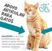 maxxisame Suplemento avançado para gatos – Ajuda ao fígado felino, articulações e saúde cognitiva – 90 g de pó - PetDoctors - Loja Online