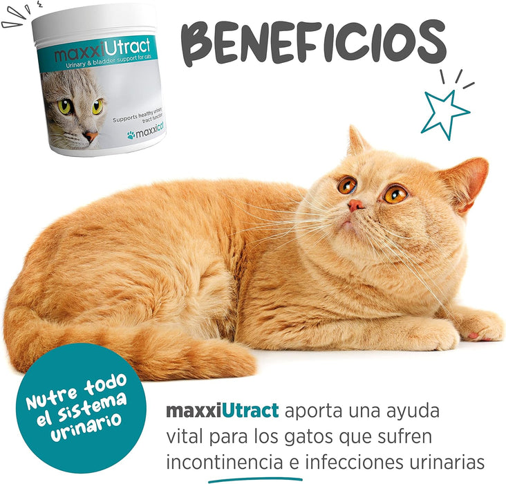 maxxiUtract Suplemento urinário e vesical para gatos - Ajuda à saúde do sistema urinário, controlo da bexiga e recorrência de ITU - com mirtios (em pó: 90 gramas) - PetDoctors - Loja Online
