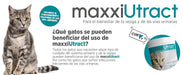 maxxiUtract Suplemento urinário e vesical para gatos - Ajuda à saúde do sistema urinário, controlo da bexiga e recorrência de ITU - com mirtios (em pó: 90 gramas) - PetDoctors - Loja Online