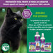 MENFORSAN Pack de 4 Produtos anti-parasitários para Gatos - 4 Produtos repelentes: Coleira, Champô, Spray e 2 Unidades de pipetas Anti Insectos - PetDoctors - Loja Online