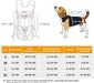 Mochila de transporte frontal para cães ou gatos - PetDoctors - Loja Online
