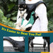 Mochila para transporte de cães e gatos - Ajustável - Com fivela Segura, Malha Respirável - PetDoctors - Loja Online