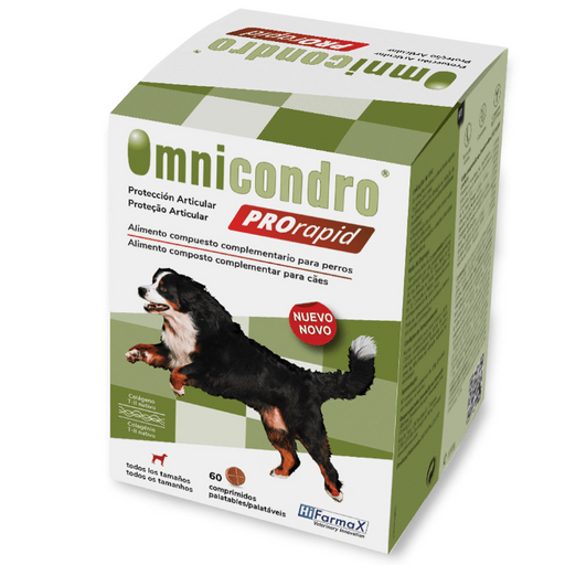 Omnicondro Prorapid (60 Comprimidos) - PetDoctors - Loja Online