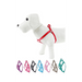 Peitoral Basico Nylon | 10 mm x 15-25 cm | Raças pequenas - PetDoctors - Loja Online
