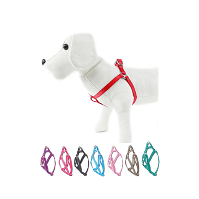 Peitoral Basico Nylon | 20 mm x 35-50 cm | Raças Médias - PetDoctors - Loja Online