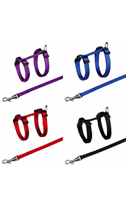 Peitoral com Trela Nylon - Trixie Kitten | Gatinhos - PetDoctors - Loja Online