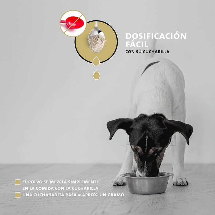 Peticare Pó para as articulações e artrose de cães | com MSM, colagénio | fortalece os ossos | alimento complementar natural - PetDoctors - Loja Online