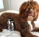 Petuxe Condicionador Vegan para cães de água - Brilho, textura e fixação de caracóis (300 ml) - PetDoctors - Loja Online