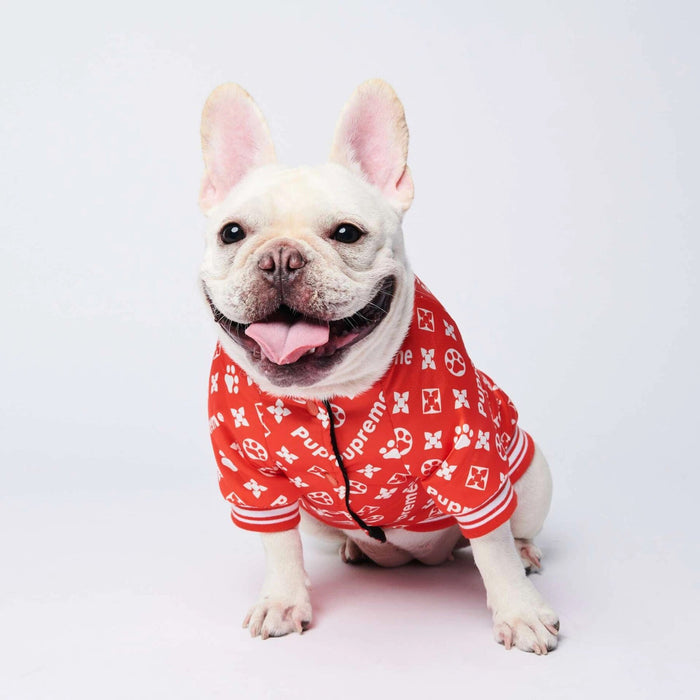 Pijama / Camisola para French Bulldog - PetDoctors - Loja Online