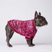 Pijama / Camisola para French Bulldog - PetDoctors - Loja Online
