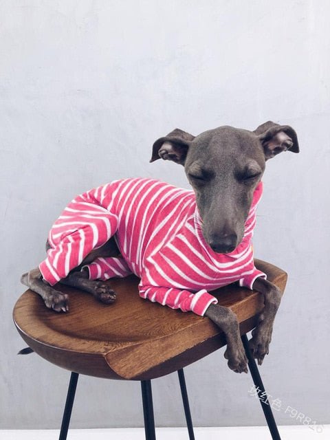 Pijama / Casaco Listado em Algodão, para Cães - PetDoctors - Loja Online