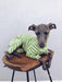 Pijama / Casaco Listado em Algodão, para Cães - PetDoctors - Loja Online