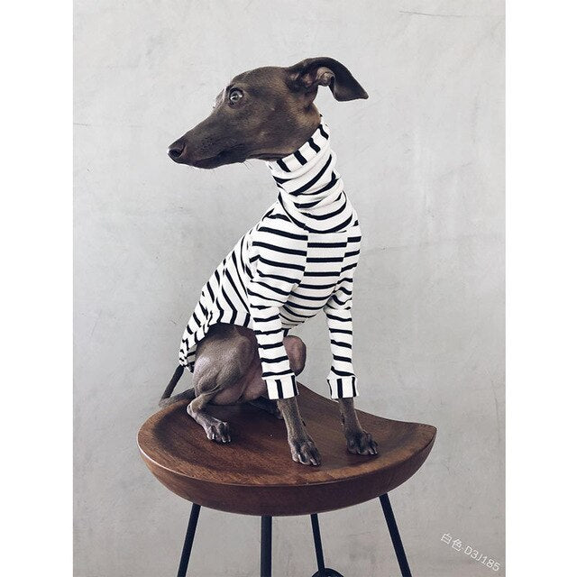 Pijama / Casaco Listado em Algodão, para Cães - PetDoctors - Loja Online