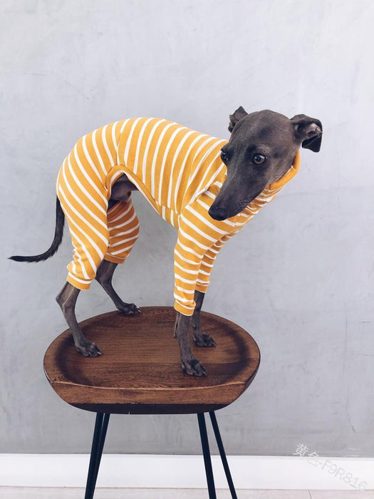 Pijama / Casaco Listado em Algodão, para Cães - PetDoctors - Loja Online