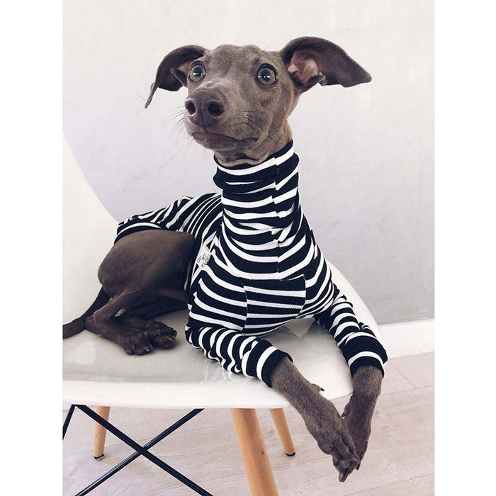 Pijama / Casaco Listado em Algodão, para Cães - PetDoctors - Loja Online