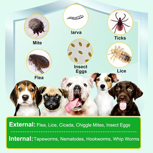 Prevenção de pulgas e carraças para cães, suplemento natural para o controlo de pulgas e carraças de cães, pílulas orais fáceis de usar, proteção contra pragas - PetDoctors - Loja Online