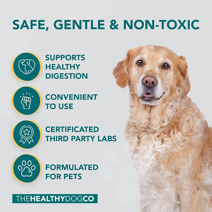 Probióticos, prebióticos e enzimas digestivas para cães | 100% natural 140 gramas para acalmar o estômago - melhora a digestão e a imunidade - PetDoctors - Loja Online