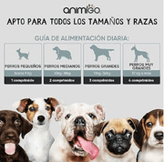 Probióticos, prebióticos e enzimas digestivas para cães 120 comprimidos sabor a frango, - ajuda a digestão e o sistema imunitário - PetDoctors - Loja Online