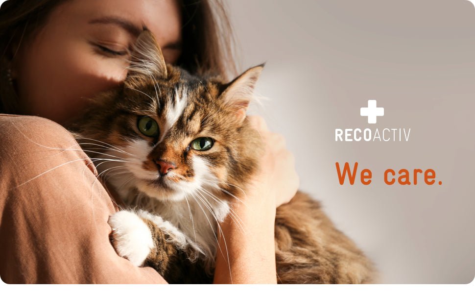 RECOACTIV Recovery renal para gatos, 1 x 280 ml, alimento dietético completo de alto teor calórico para disfunção renal e aumento das necessidades energéticas - PetDoctors - Loja Online