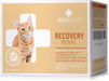 RECOACTIV Recovery renal para gatos, 1 x 280 ml, alimento dietético completo de alto teor calórico para disfunção renal e aumento das necessidades energéticas - PetDoctors - Loja Online
