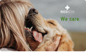 RECOACTIV Tónico imunitário para cães, 3 x 90 ml, suplemento dietético para apoio imunitário e prevenção dos sintomas de carência, eficaz estimulador dietético do apetite - PetDoctors - Loja Online