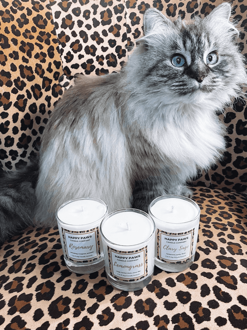 Rosemary - Vela Aromática de Alecrim 'Pet Friendly' - PetDoctors - Loja Online
