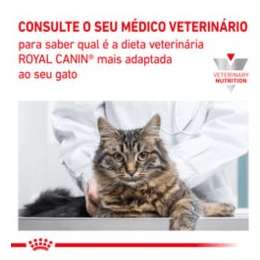 Royal Canin Feline CAT MATURE CONSULT (12 Saquetas x 85 gramas) - PetDoctors - Loja Online