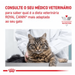 Royal Canin Feline CAT MATURE CONSULT (12 Saquetas x 85 gramas) - PetDoctors - Loja Online