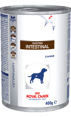 Royal Canin Gastro Intestinal Wet (400 gr) - PetDoctors - Loja Online