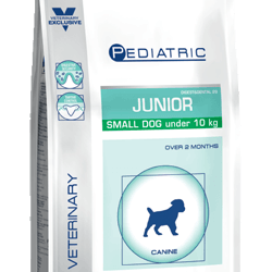 Royal Canin Junior Small Dog (4 Quilos) - PetDoctors - Loja Online