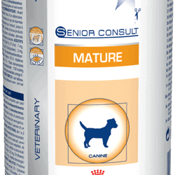 Royal Canin Mature Wet - PetDoctors - Loja Online