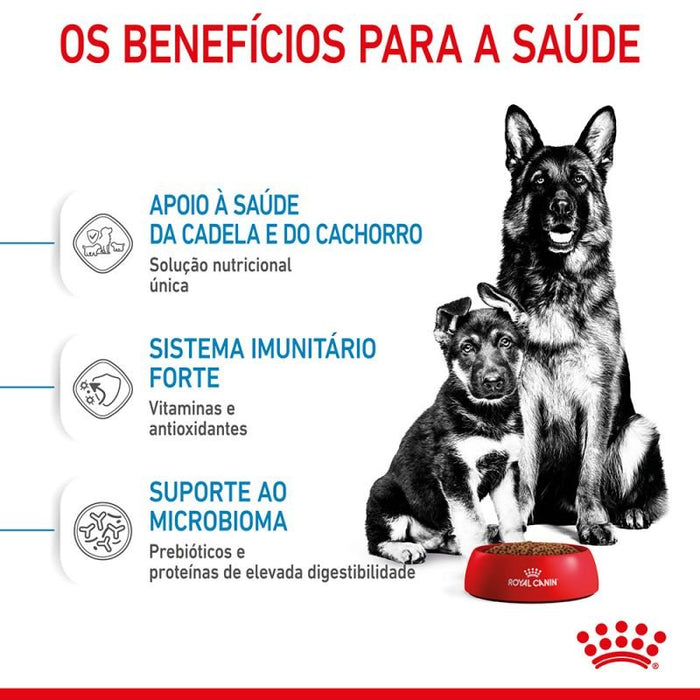 Royal Canin Maxi Starter Mother & Babydog - PetDoctors - Loja Online
