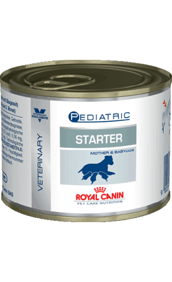Royal Canin Pediatric Starter Mousse - PetDoctors - Loja Online