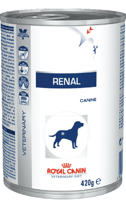 Renal e royal canin 2025