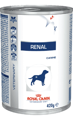 Royal Canin Renal Wet (410 gr) - PetDoctors - Loja Online