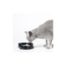 Savic Bebedouro Whisker Water - PetDoctors - Loja Online