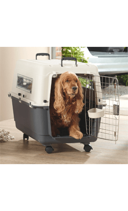 Savic Transportadora Cães - Modelo Andes - PetDoctors - Loja Online