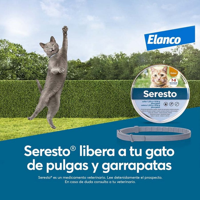SERESTO Desparasitante Coleira para Gato (38 CM LARANJA) - PetDoctors - Loja Online